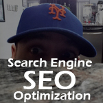Search Engine Optimization SEO Professional Services photo | Queens, NY DinoRiese.com