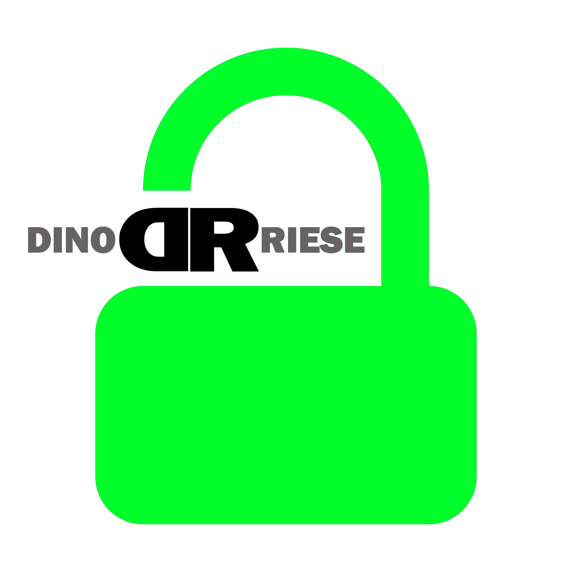 SSL Certificate Provider image | Queens, NY DinoRiese.com